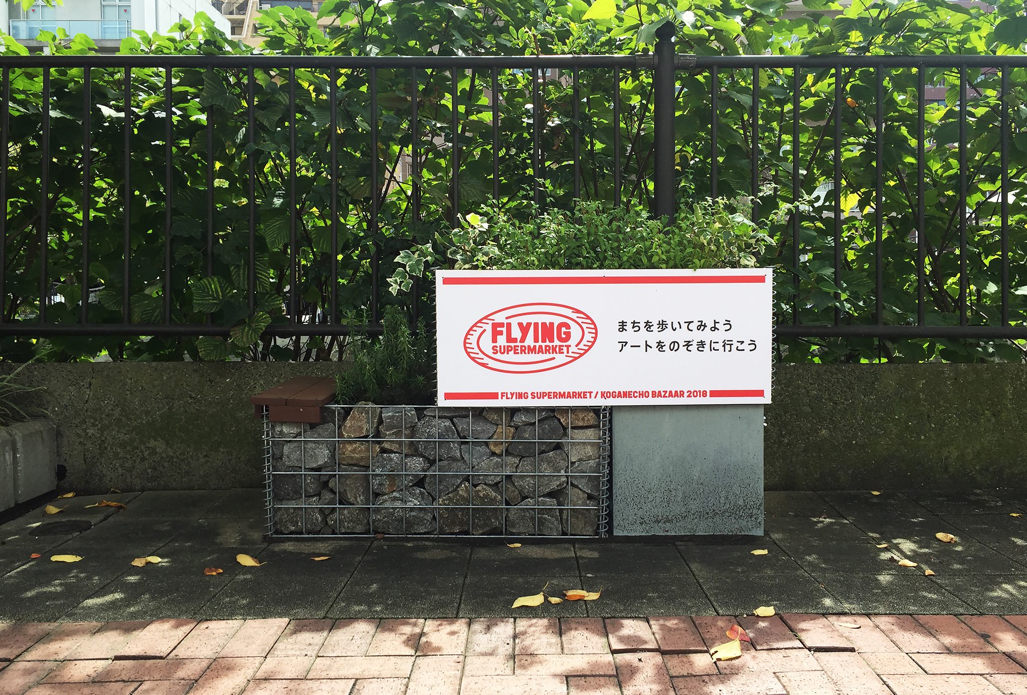 42304779_2053216084730342_590698560299728896_o